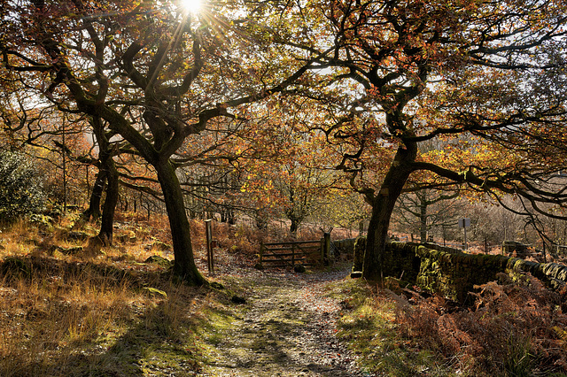 A Crowden adventure