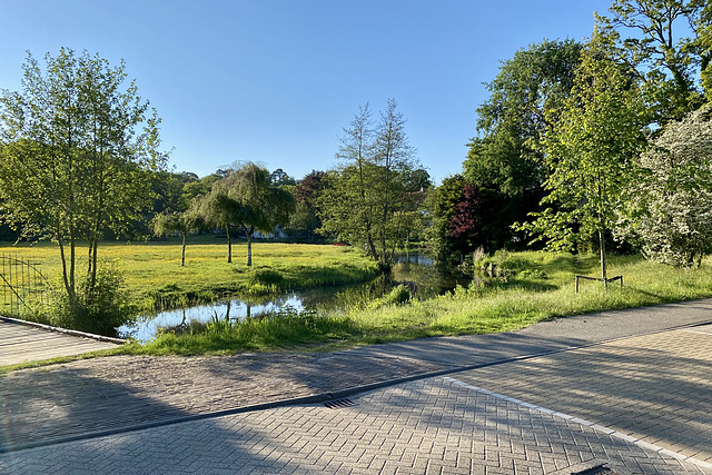 View from the Lage Duin en Daalseweg