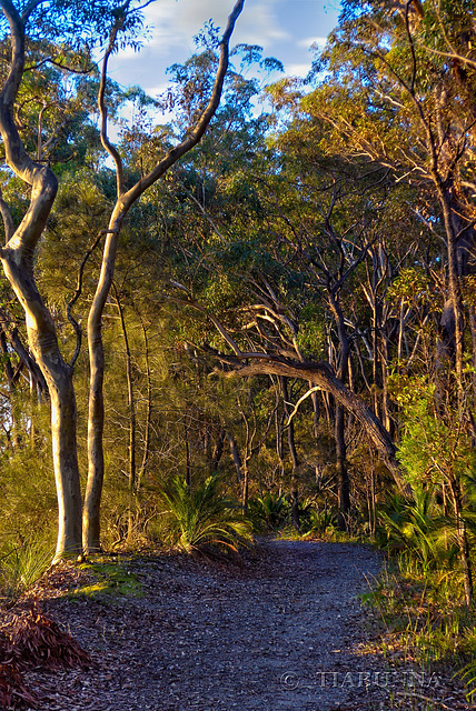 Along the track