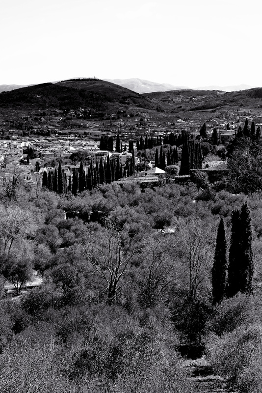 Florence Oltrarno 16 XPro1 mono