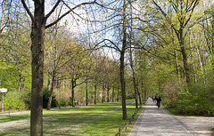 Berlin Tiergarten (#2114)