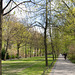 Berlin Tiergarten (#2114)