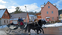 Gaildorfer Pferdemarkt 2015