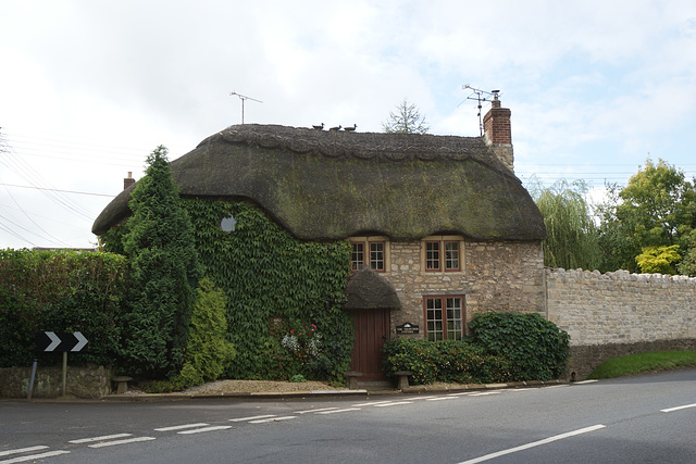 Thatched Cottage