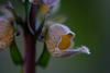 DSCF1481