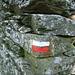 P1060250