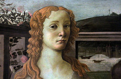 Détail du tableau , Vénus et Trois Putti de Botticelli - Florence