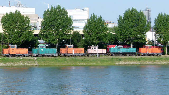 Bunte Reihe am Rhein