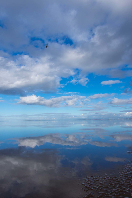 Hoylake seascape4