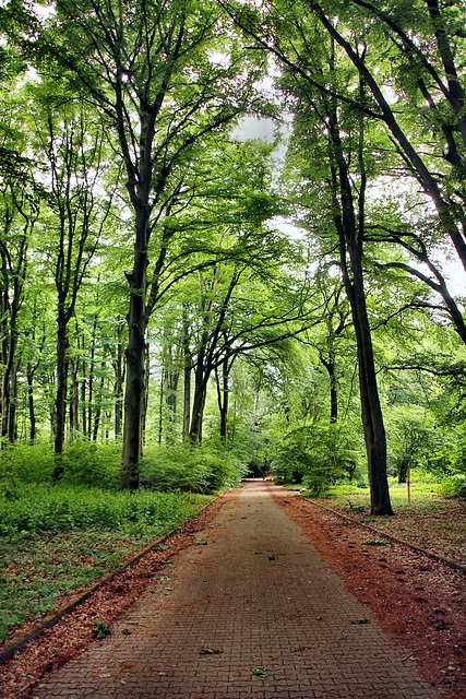 LSG Vonderort, Weg an den Parkplätzen (Oberhausen-Osterfeld) / 21.05.2022