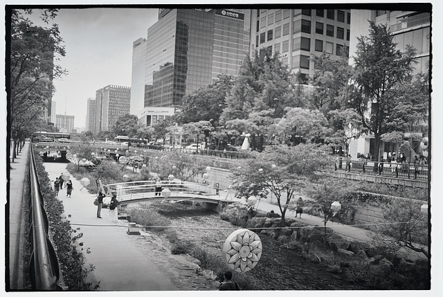 Restored Urban Park