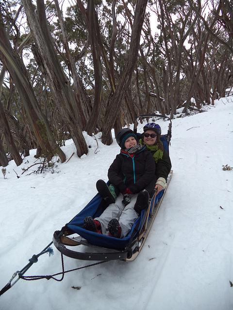 Mt Baw Baw day trip