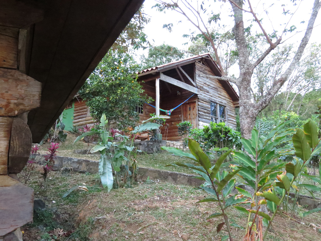 Habitación típica - Hotel Perkin Lenca