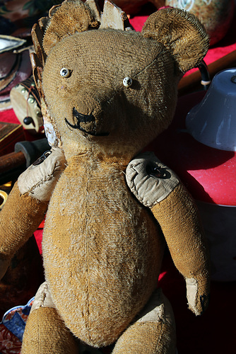 Un brocanteur a repéré que j'aimais photographier les nounours , et ce matin il m'a présenté sa dernière acquisition . C'est vrai qu'il a une bonne tête !