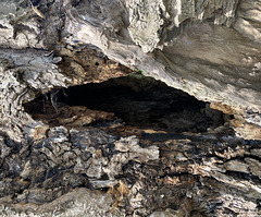 Cave in the wood