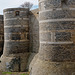 Château d'Angers (1)