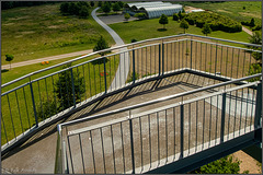 HFF - Hinauf zum Aussichtsturm Bürgerpark (PiP)