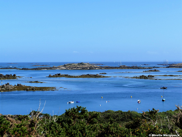 Iles Chausey (Manche) France