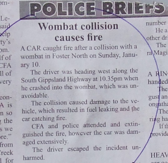 "wombat collision causes fire"