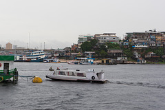 Amazonas-0005
