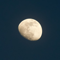Mond V - 23.02.21 >>crop<<