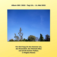 Album 365 / 2022 - Tag 131. - 11. Mai 2022