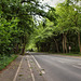 Osterfelder Straße (Bottrop-Vonderort) / 21.05.2022