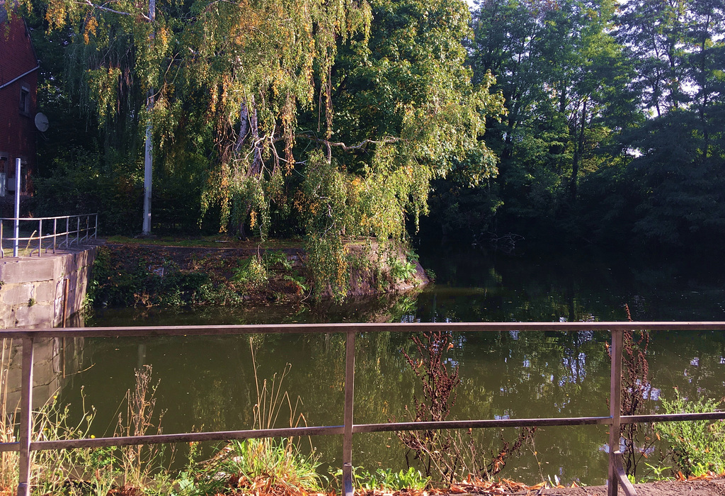 Un matin ensoleillé