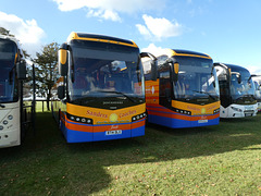 Coaches at Newmarket Racecourse - 14 Oct 2023 (P1160728)