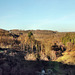 Blick von der Staumauer über das Tal der Ennepe (Breckerfeld) / 27.01.2024