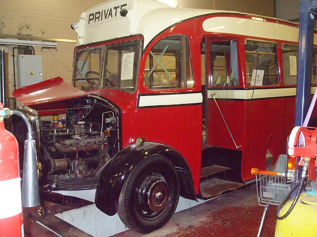 DSCF4372 Dennis Ace, Ipswich Transport Museum - 25 Jun 2016