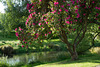 Neuseeland - Christchurch - Botanischer Garten