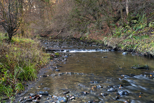 Gruggies Burn, Dumbarton