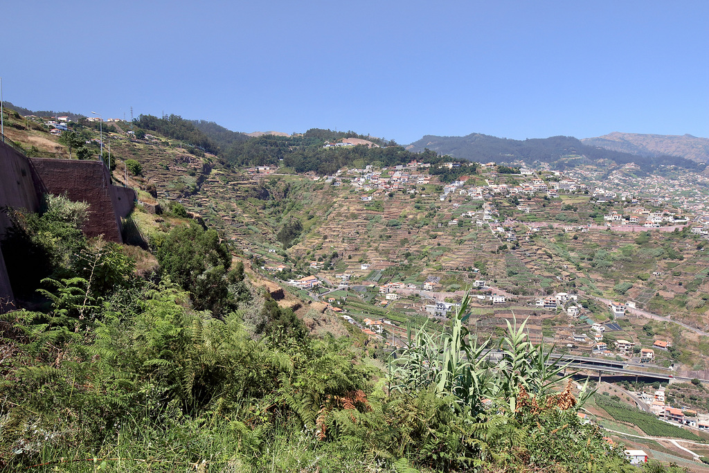 Câmara de Lobos - Vereda da Levada da Serra (3)