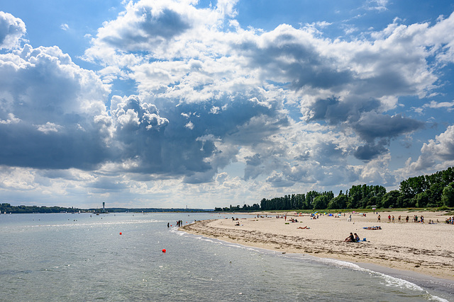 Beach life