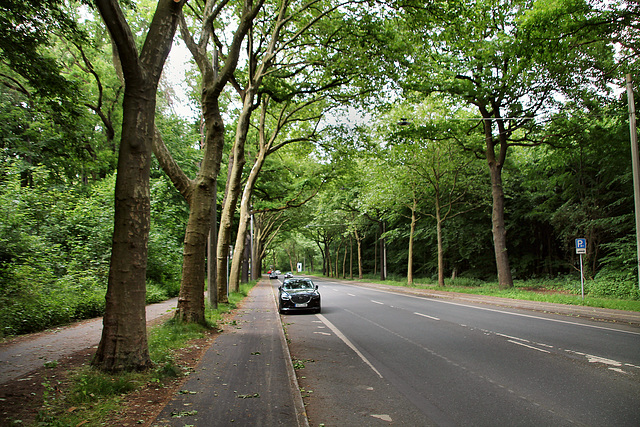 Osterfelder Straße (Bottrop-Vonderort) / 21.05.2022