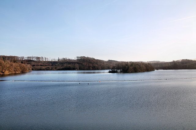 Ennepe-Stausee (Breckerfeld) / 27.01.2024