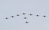 Red Arrows - 5 June 2019