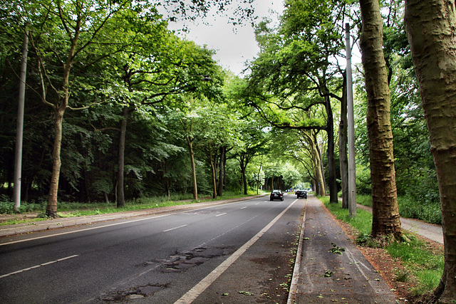 Osterfelder Straße (Bottrop-Vonderort) / 21.05.2022