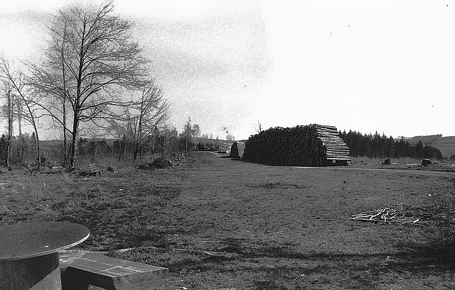 "Wald", Benneckenstein, Film