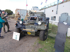 bcd[25] - production ferret