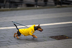 Everywhere Everywhere