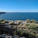 North from the former lighthouse North from the former lighthouse