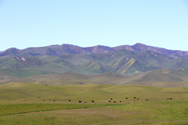 Sacramento Valley