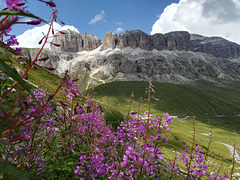 Gruppo Sella dal Col de Cuch