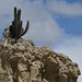 La Paz, Moon Valley (Valle de la Luna), Cactus on the Top