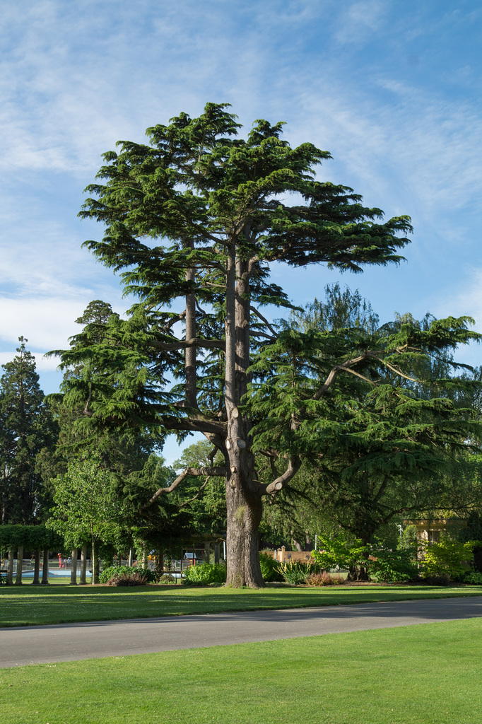 Neuseeland - Christchurch - Botanischer Garten