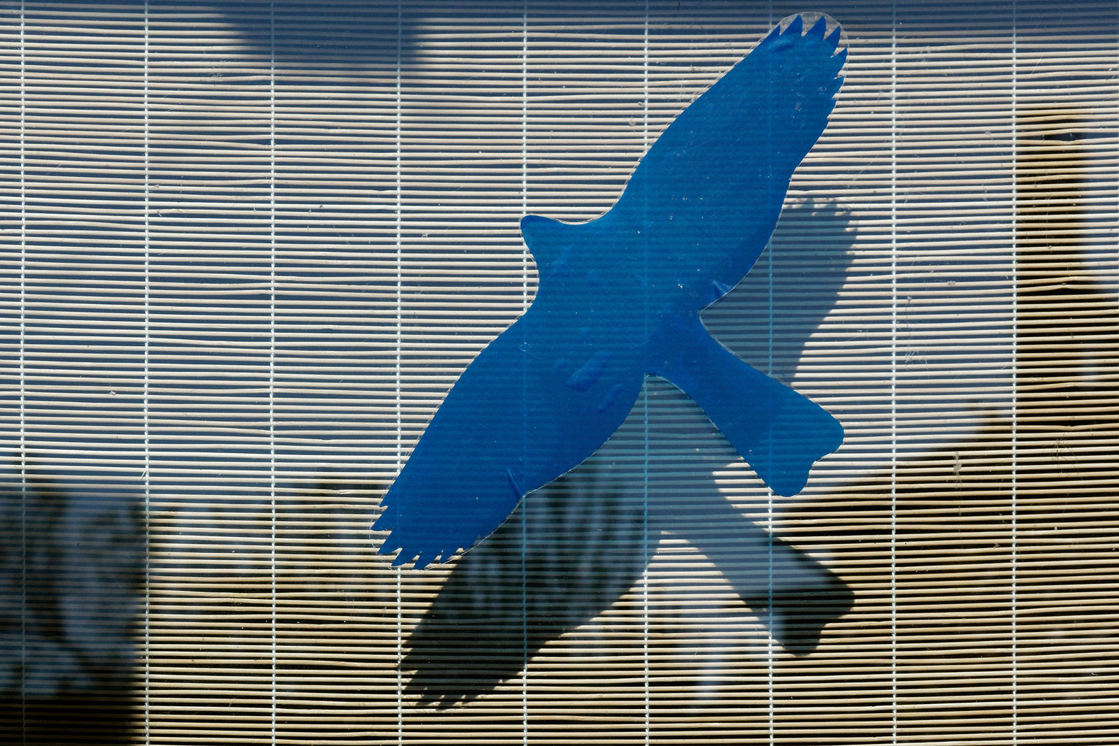 L'oiseau bleu