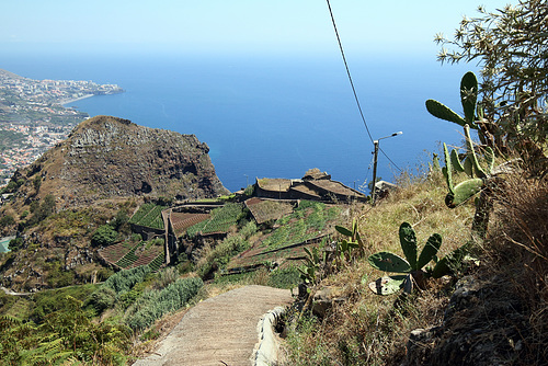 Câmara de Lobos - Vereda da Levada da Serra (5)