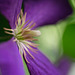 DSCF0094
